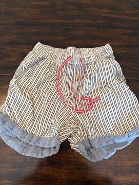 Seen Worn Kept (Anthropologie) Shorts